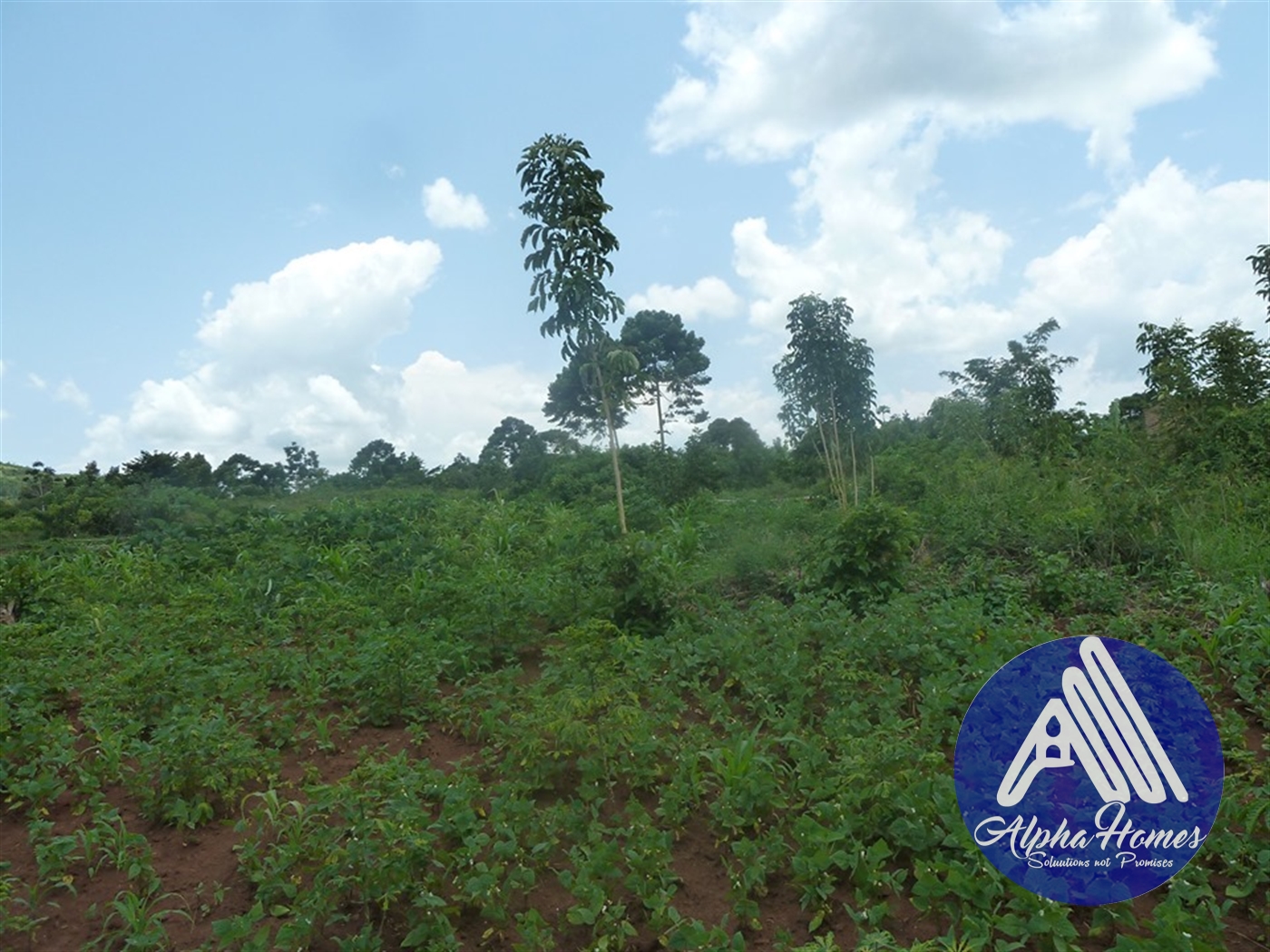 Residential Land for sale in Ziloobwe Wakiso