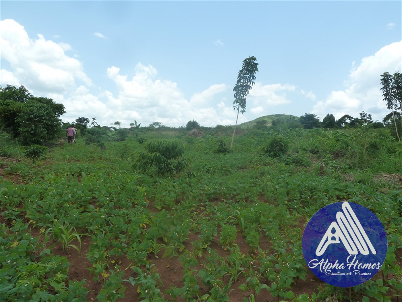 Residential Land for sale in Ziloobwe Wakiso