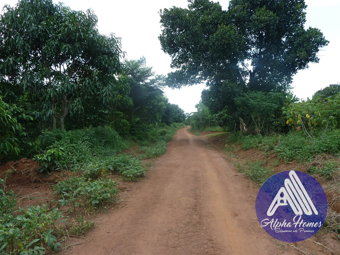 Residential Land for sale in Ziloobwe Wakiso