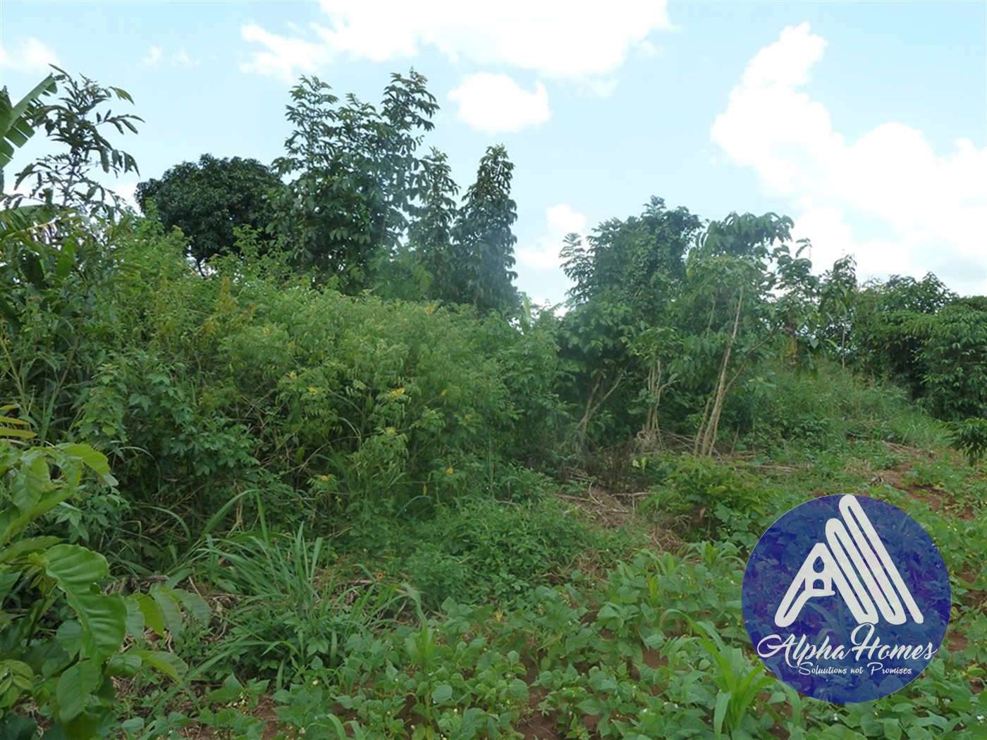 Residential Land for sale in Ziloobwe Wakiso