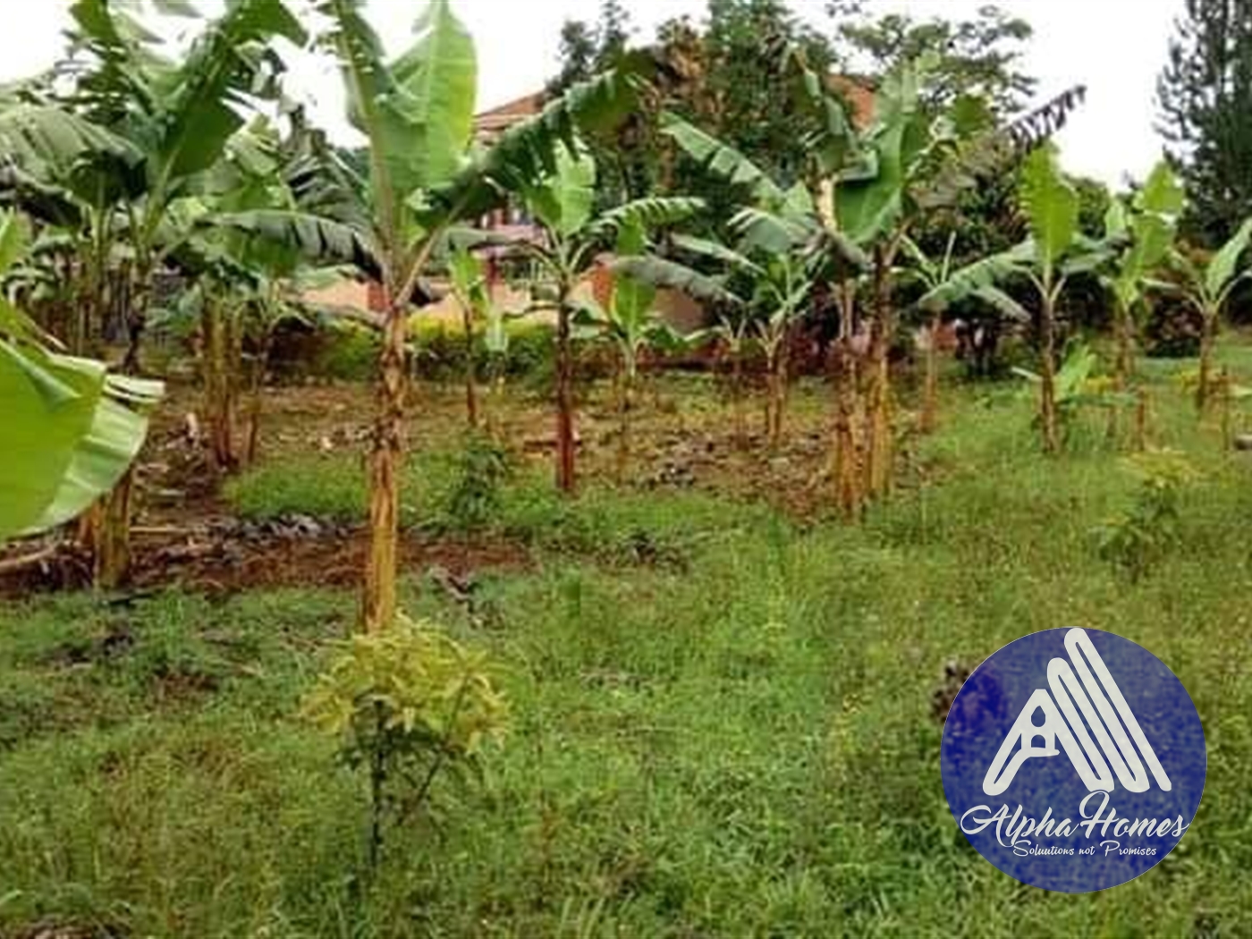 Residential Land for sale in Seeta Mukono