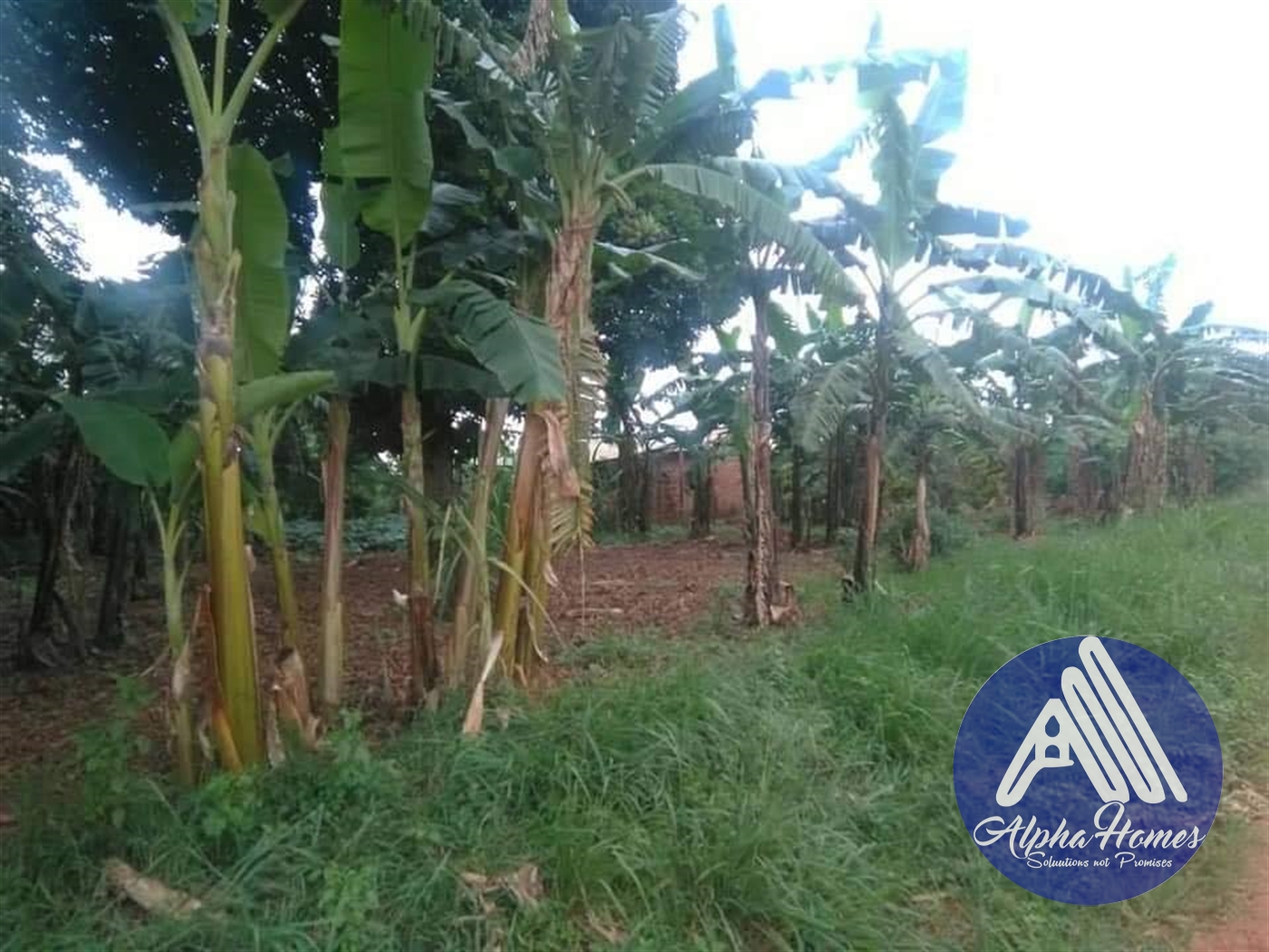 Bungalow for sale in Gayaza Wakiso