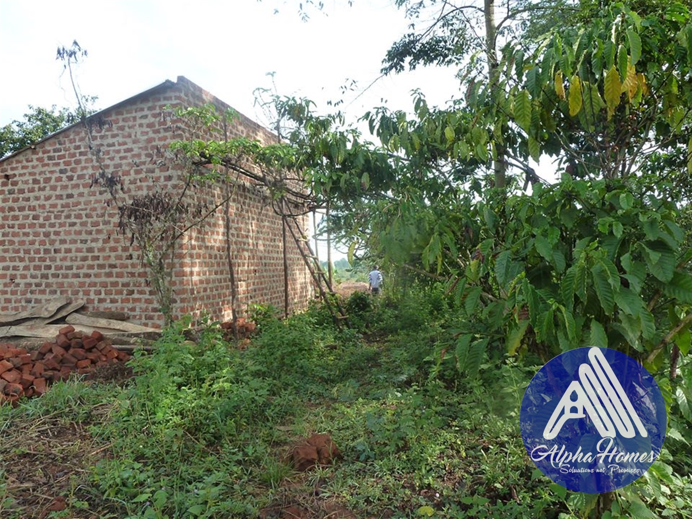 Agricultural Land for sale in Ziloobwe Wakiso