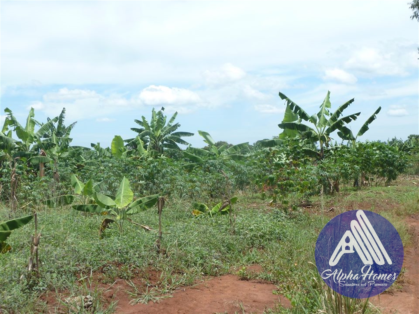 Agricultural Land for sale in Ziloobwe Wakiso