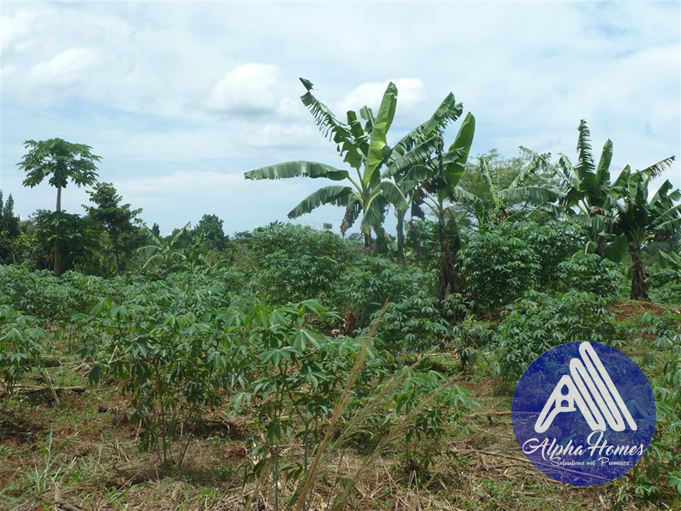 Agricultural Land for sale in Ziloobwe Wakiso