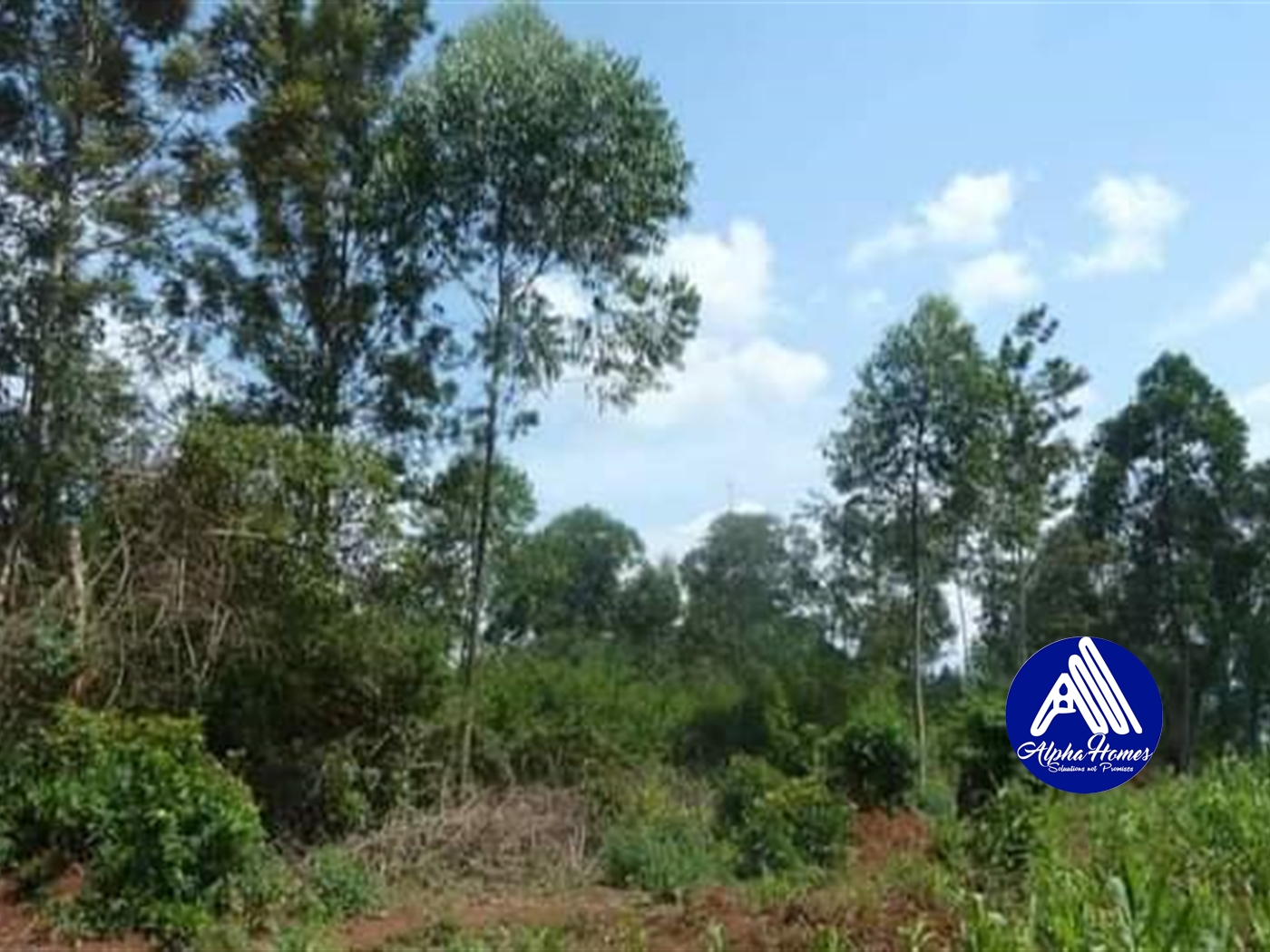 Agricultural Land for sale in Wobulenzi Luweero Uganda, code 67216, 20