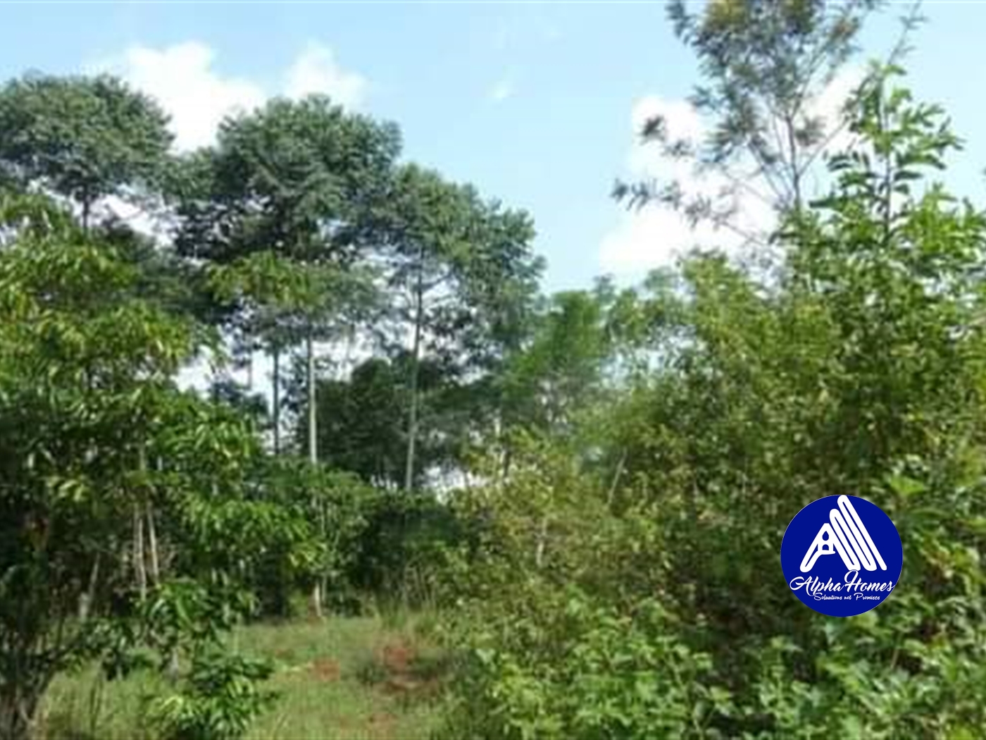 Agricultural Land for sale in Wobulenzi Luweero Uganda, code 67216, 20
