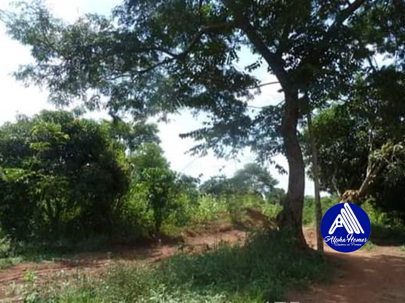 Agricultural Land for sale in Wobulenzi Luweero Uganda, code 67216, 20