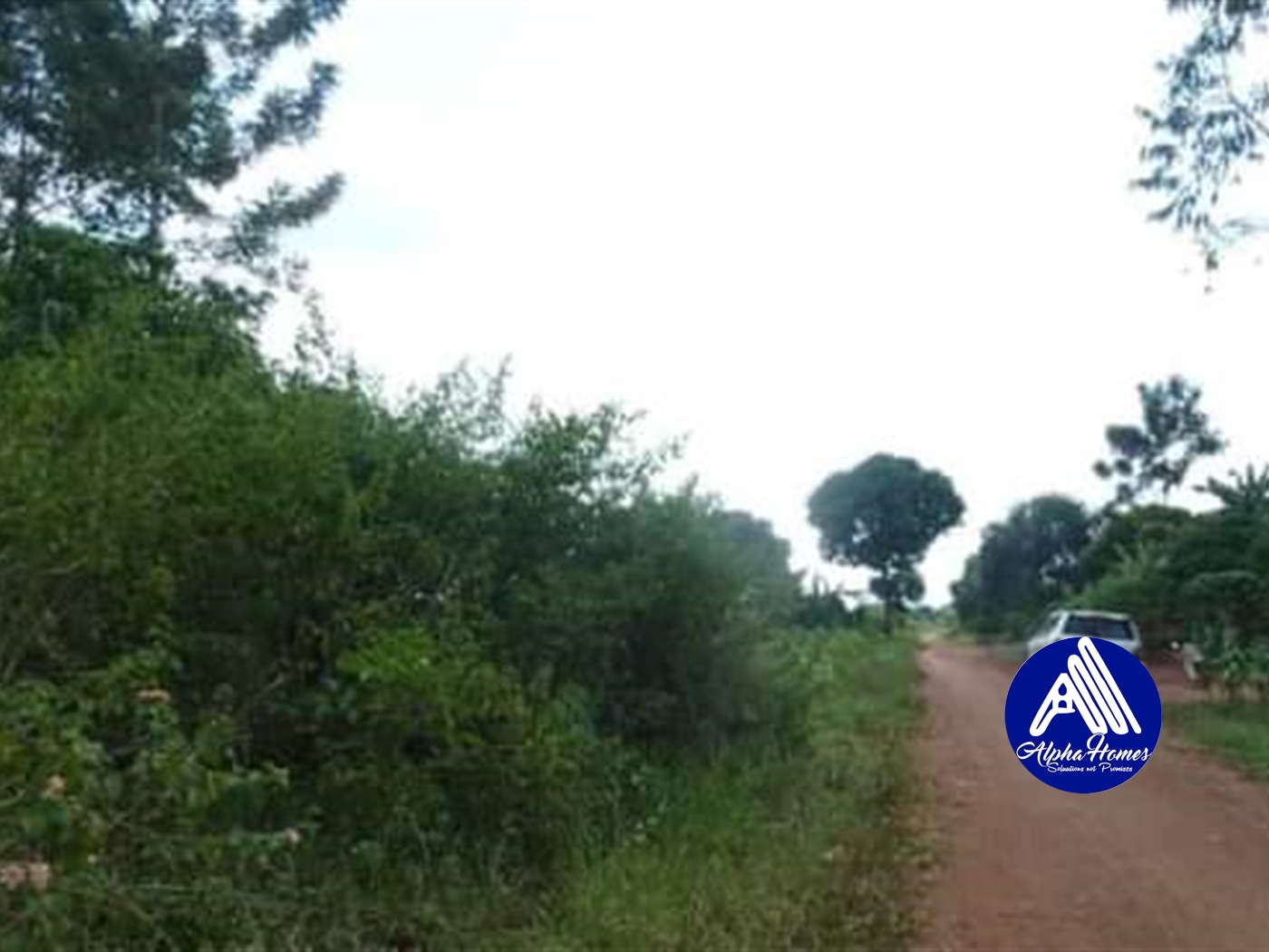 Agricultural Land for sale in Wobulenzi Luweero Uganda, code 67216, 20