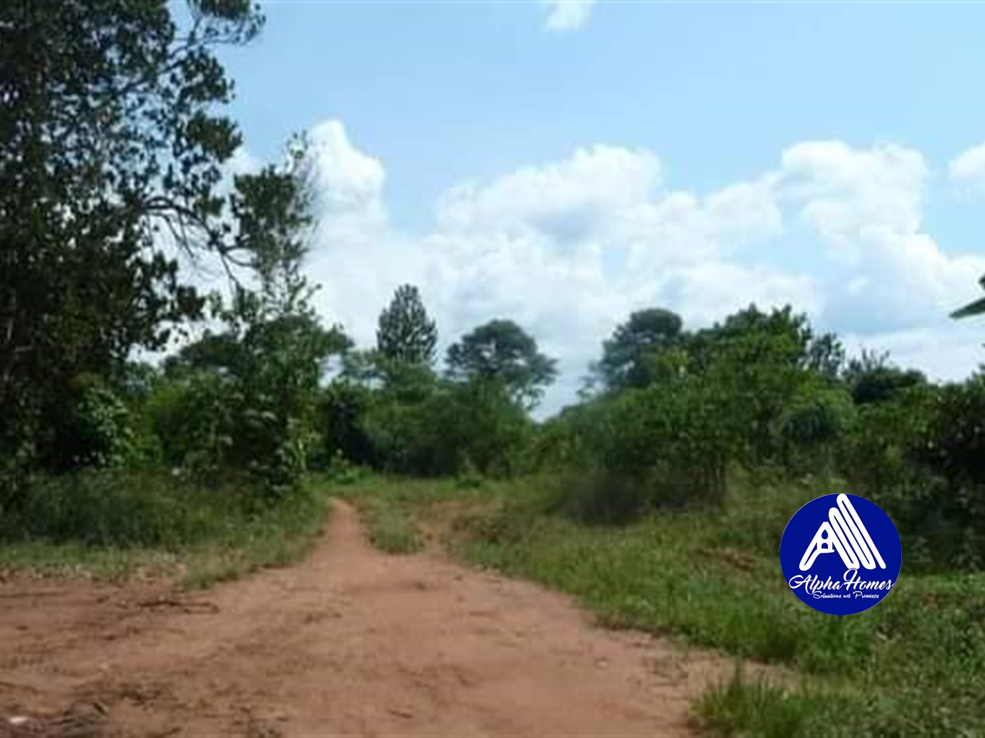 Agricultural Land for sale in Wobulenzi Luweero