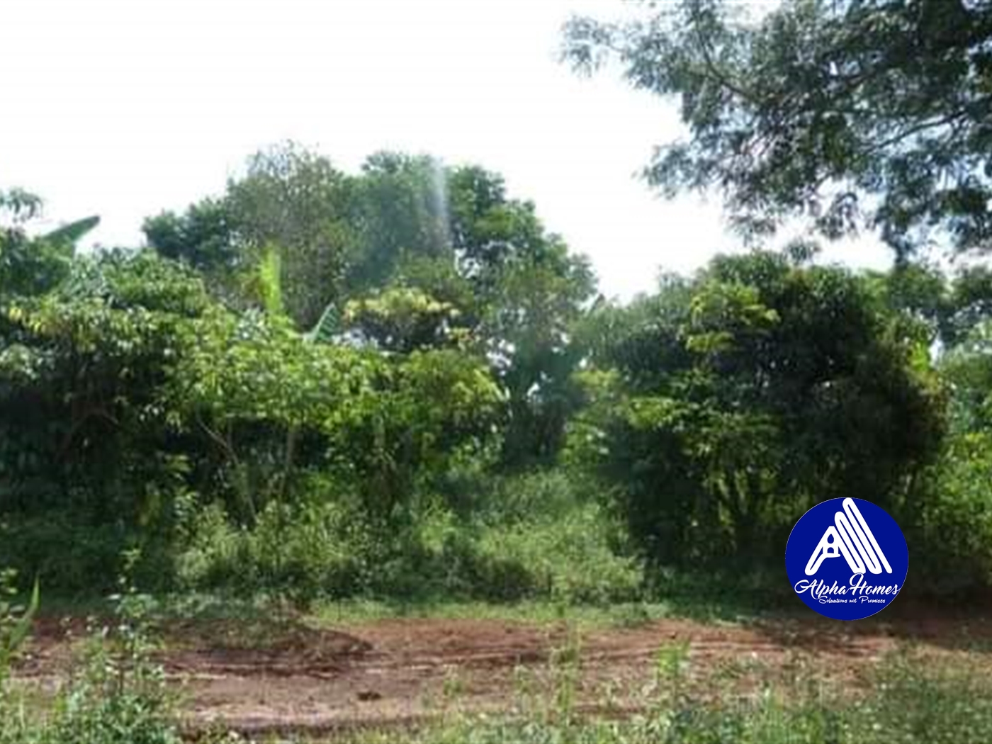 Agricultural Land for sale in Wobulenzi Luweero