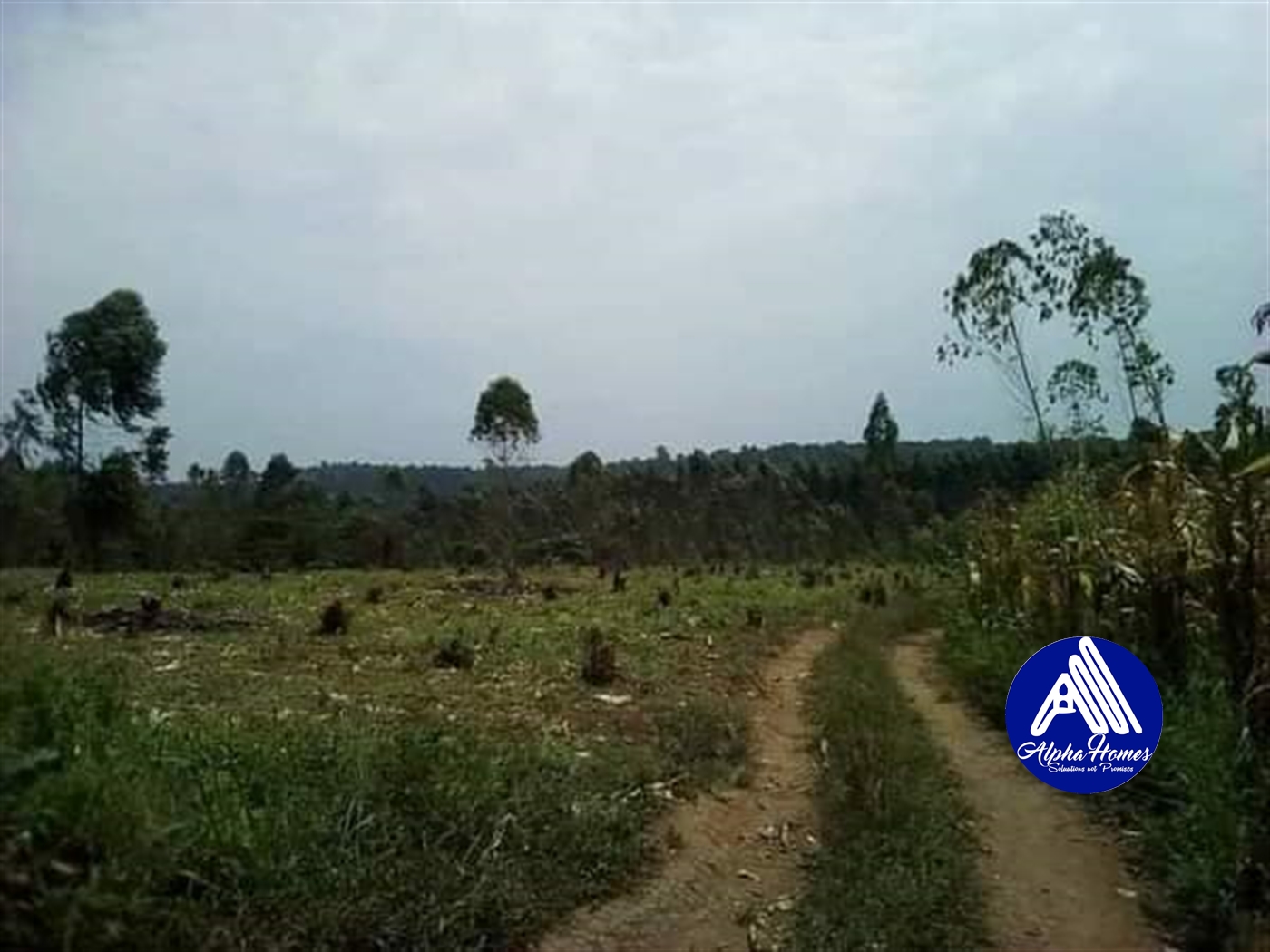 Residential Land for sale in Seeta Mukono