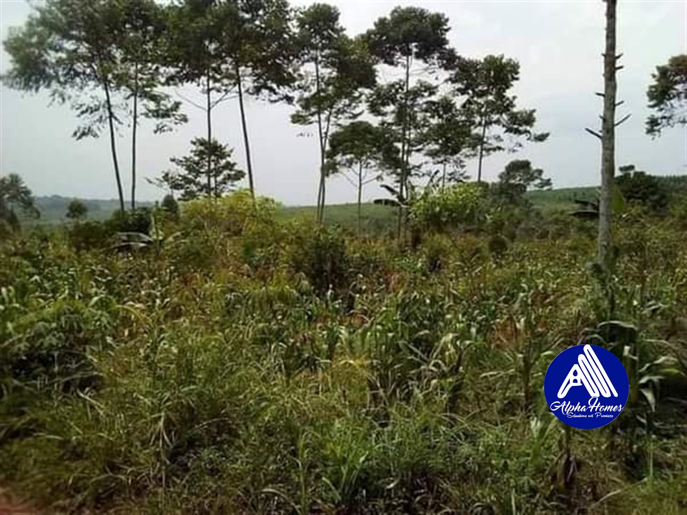 Residential Land for sale in Seeta Mukono