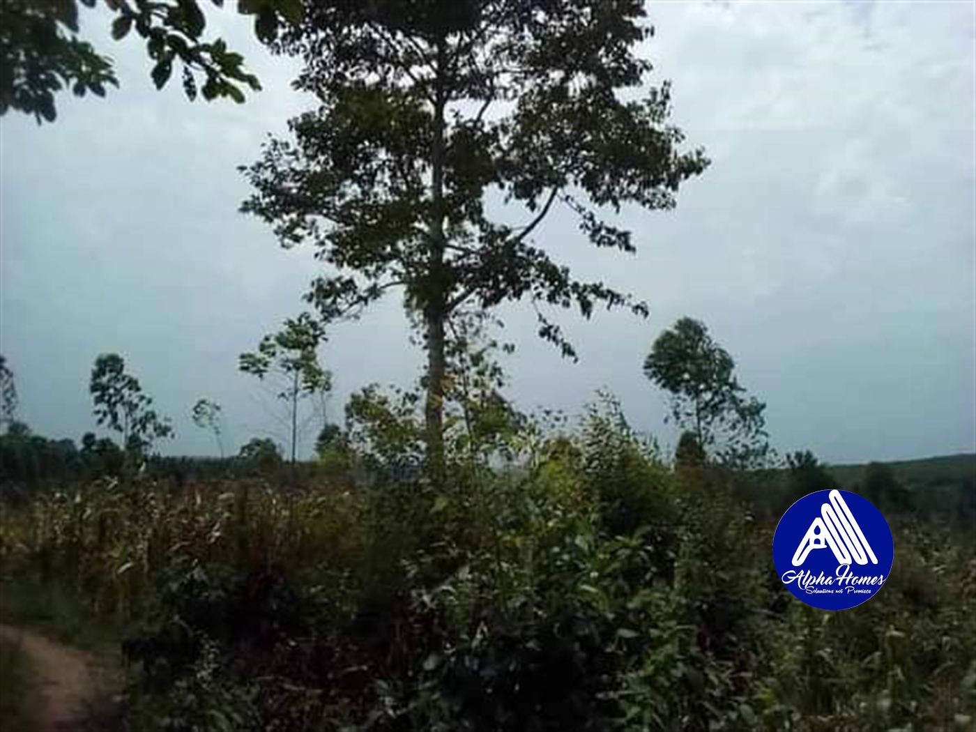 Residential Land for sale in Seeta Mukono