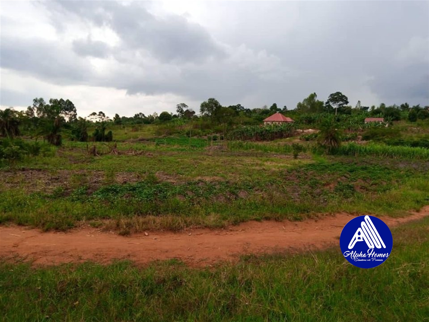 Residential Land for sale in Nakifuma Mukono