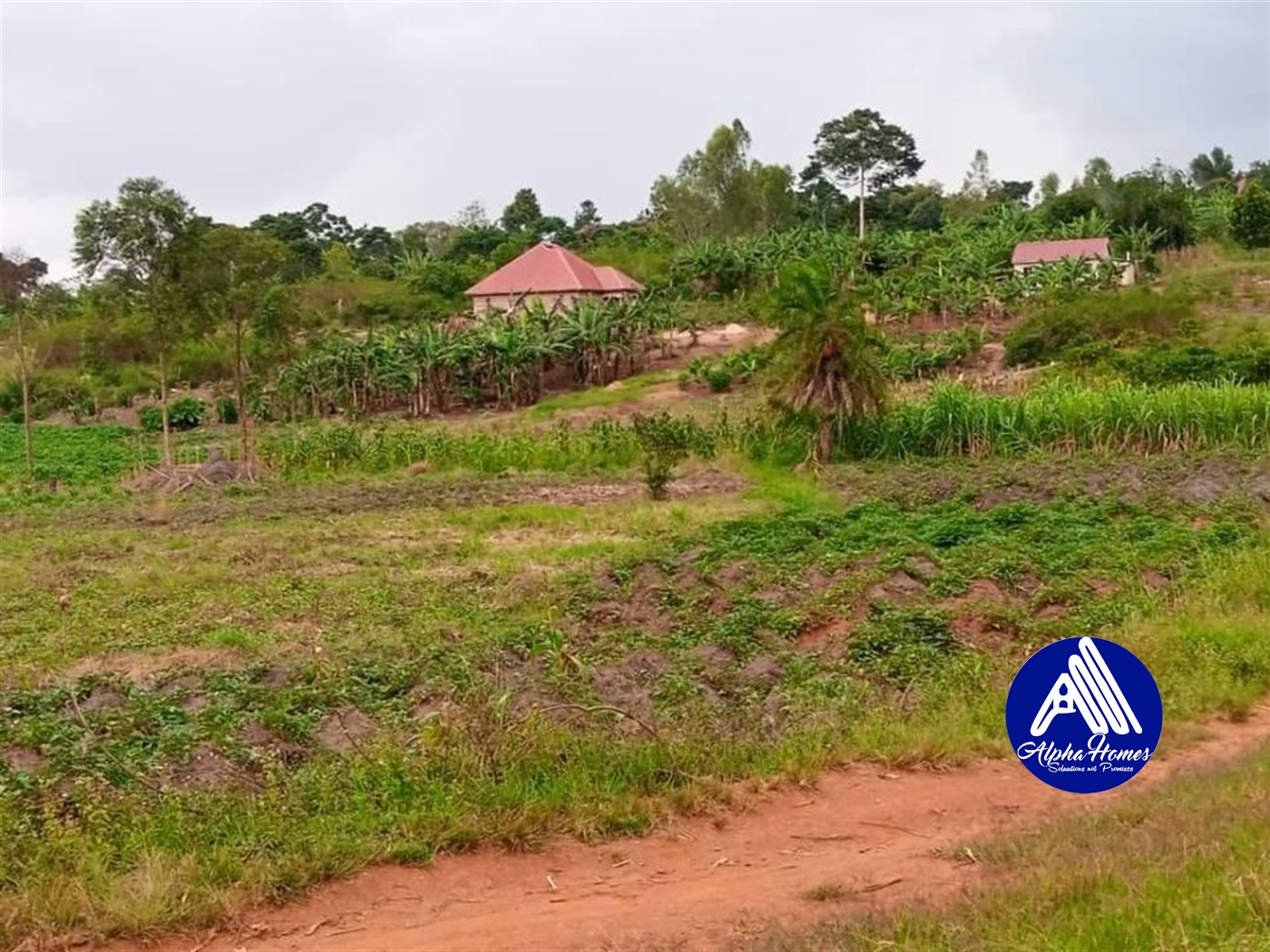 Residential Land for sale in Nakifuma Mukono