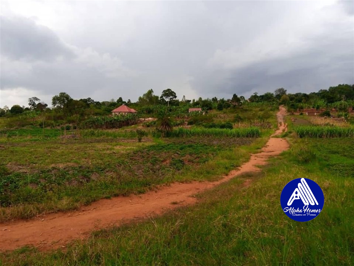 Residential Land for sale in Nakifuma Mukono