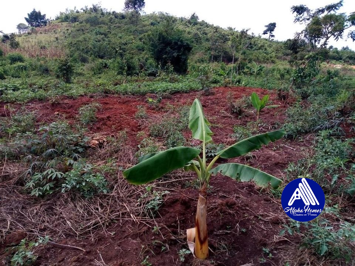 Residential Land for sale in Gayaza Wakiso