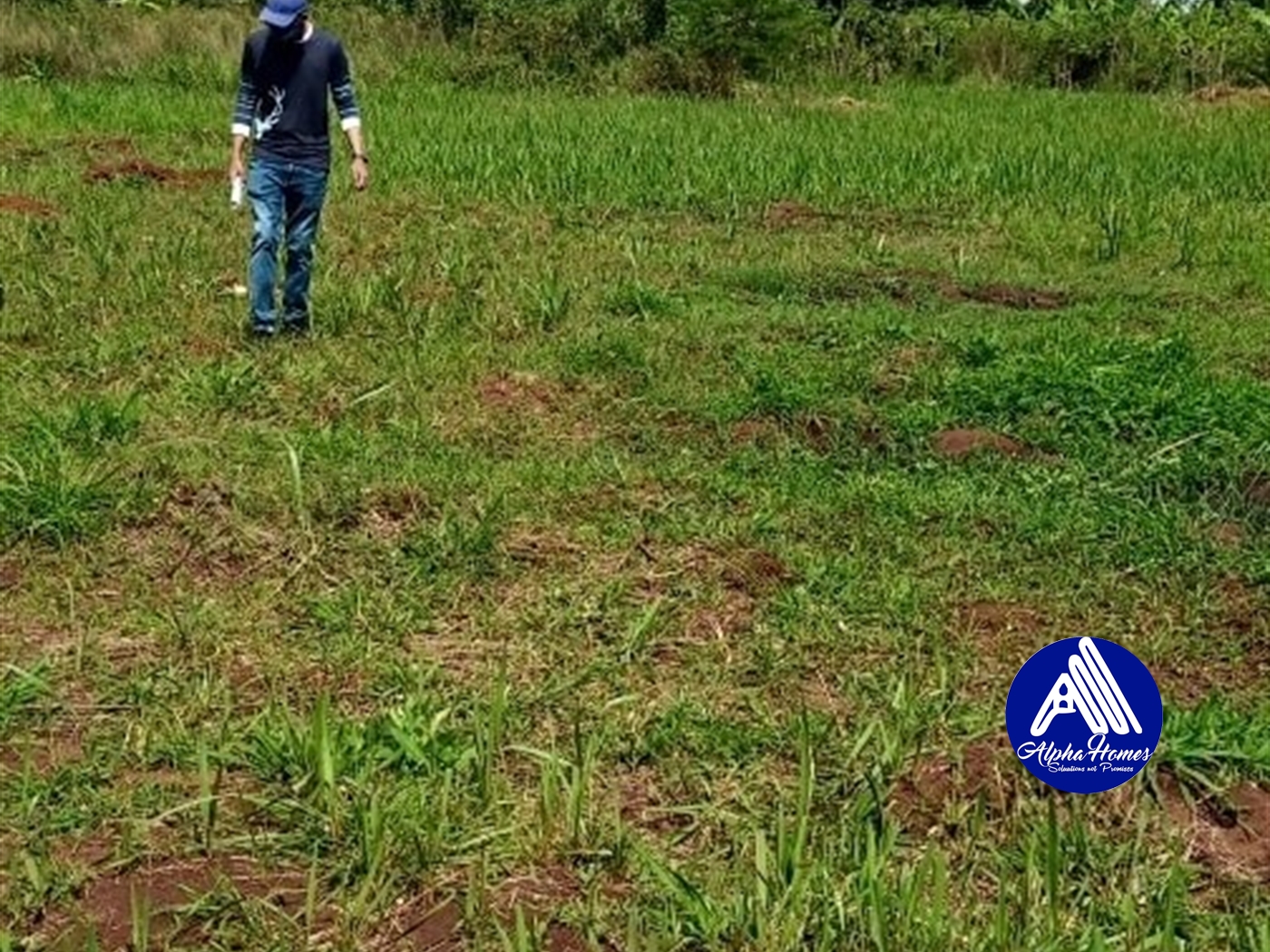Agricultural Land for sale in Kasamo Mukono
