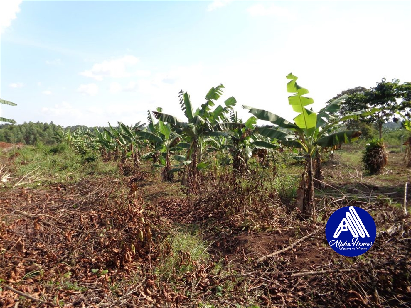 Agricultural Land for sale in Gayaza Wakiso