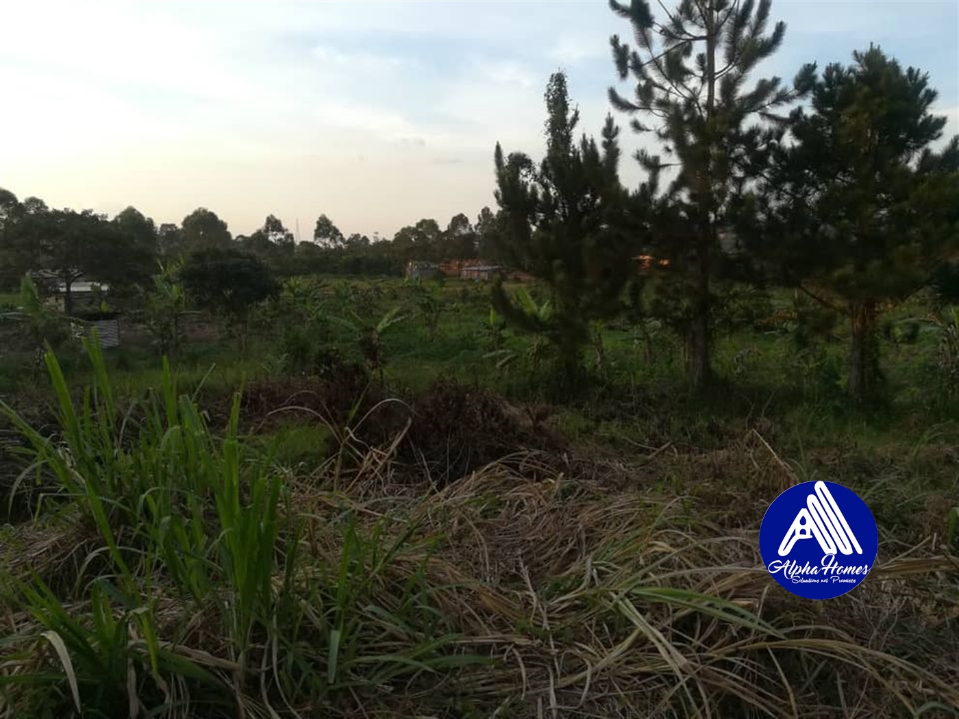 Residential Land for sale in Namugongo Wakiso