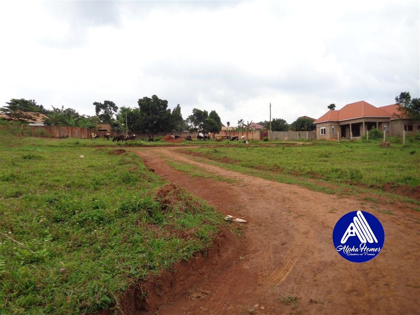 Residential Land for sale in Namugongo Wakiso