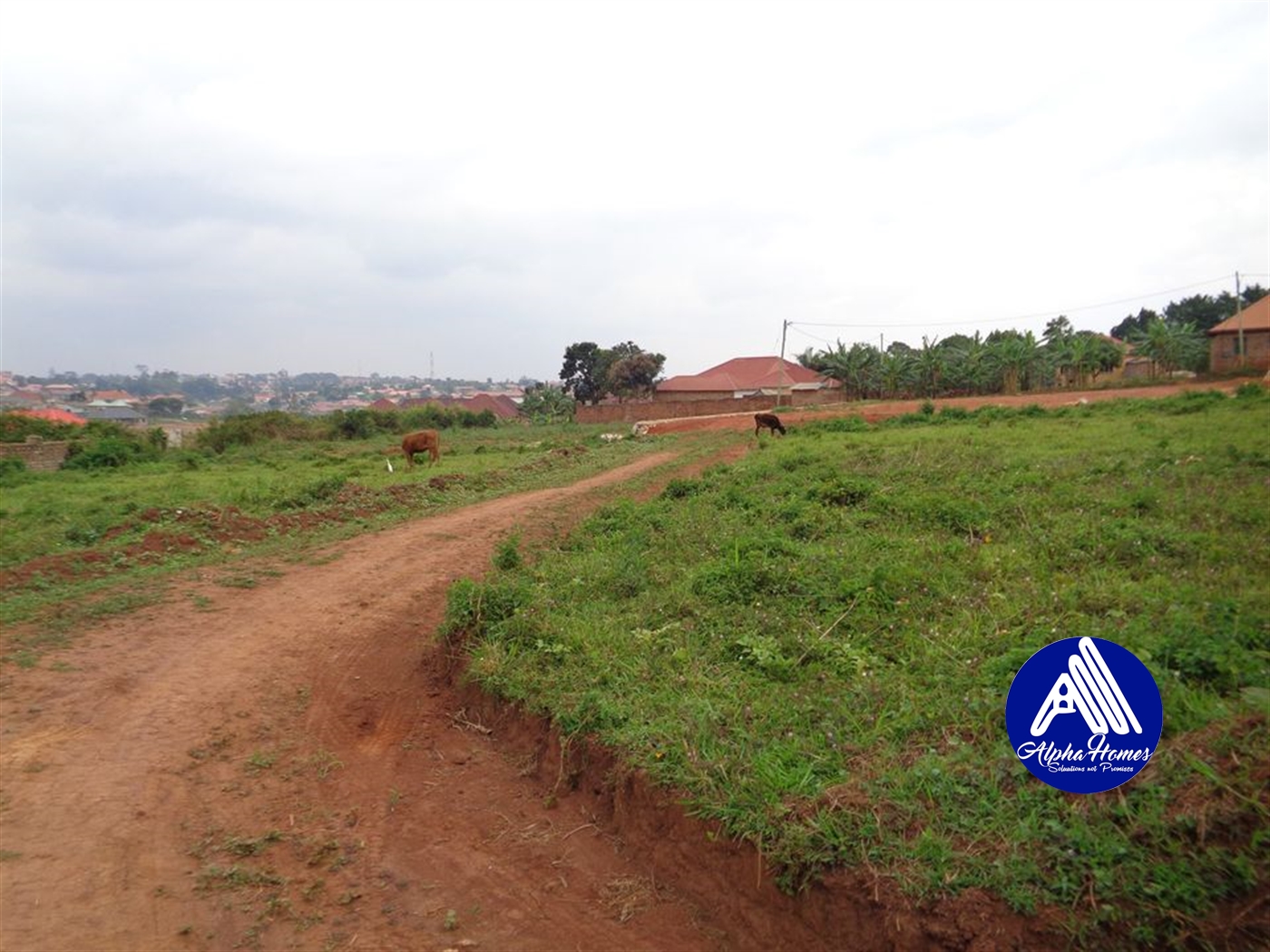 Residential Land for sale in Namugongo Wakiso