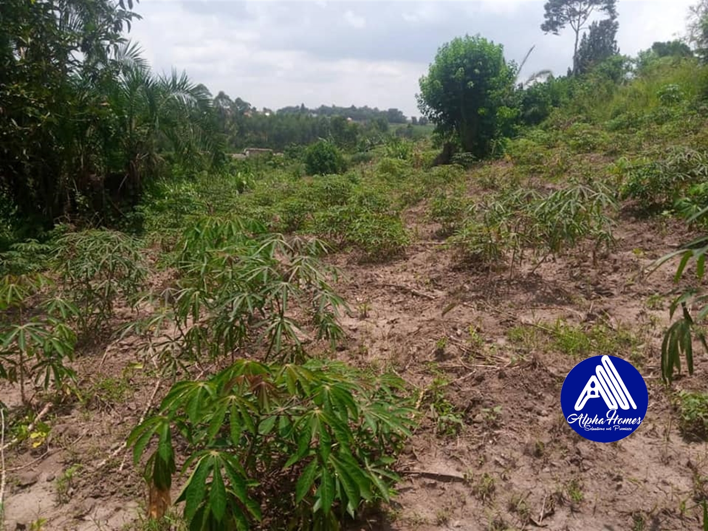 Residential Land for sale in Matugga Wakiso