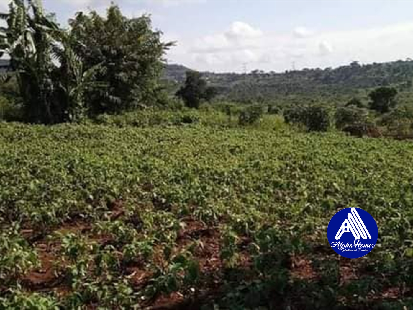 Agricultural Land for sale in Mpigi Mpigi