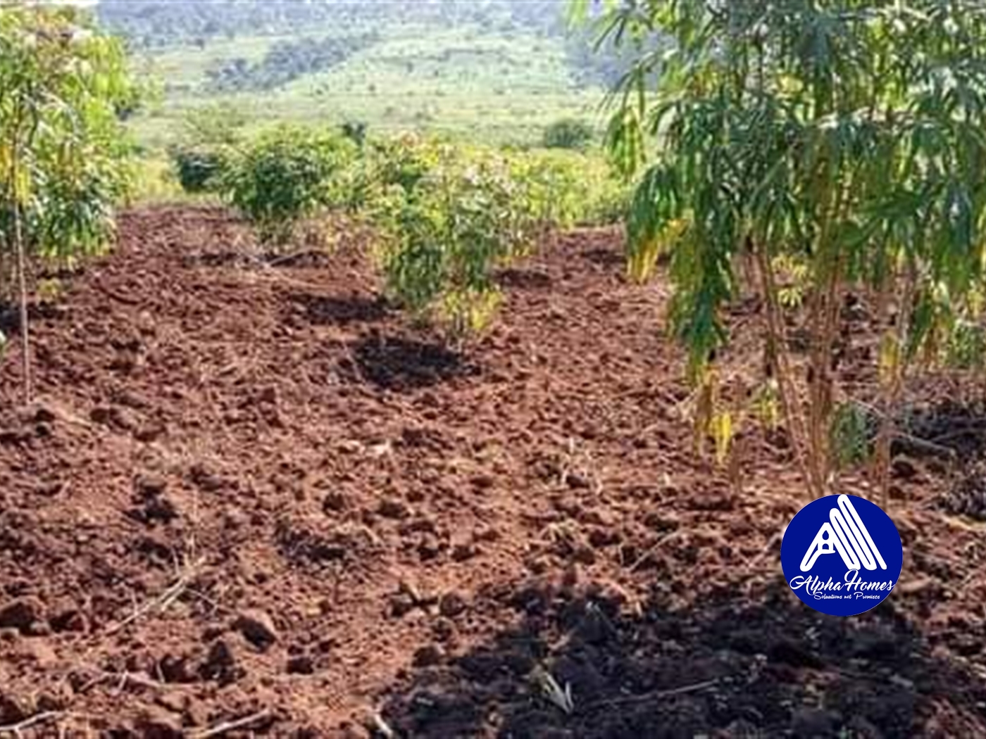 Agricultural Land for sale in Mpigi Mpigi