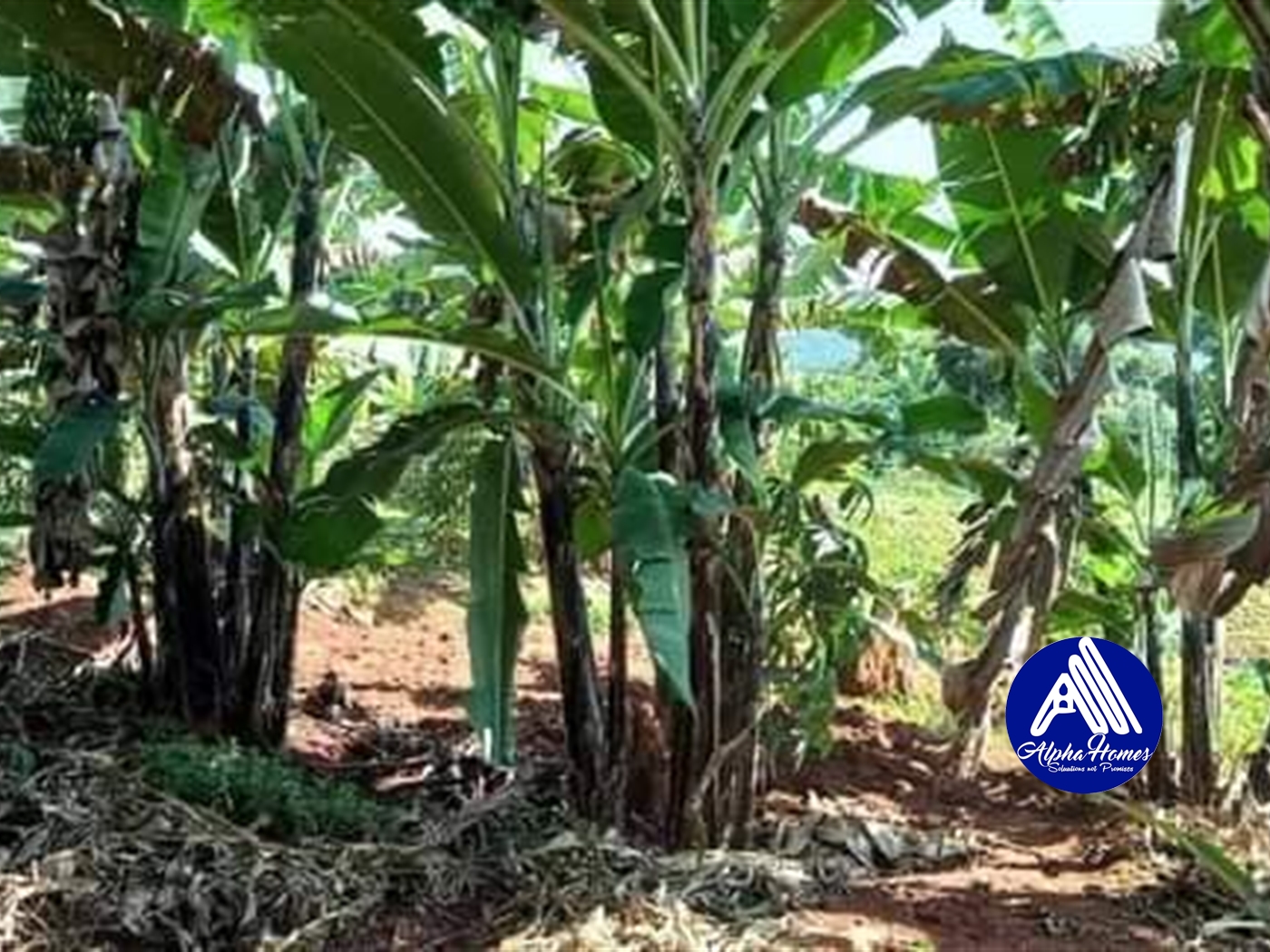 Agricultural Land for sale in Mpigi Mpigi