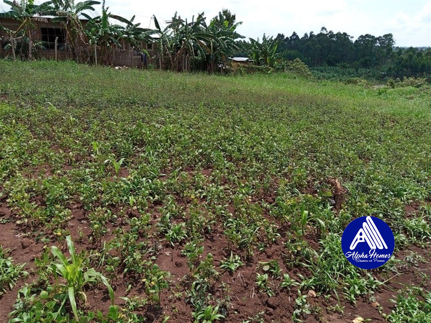 Residential Land for sale in Kira Wakiso