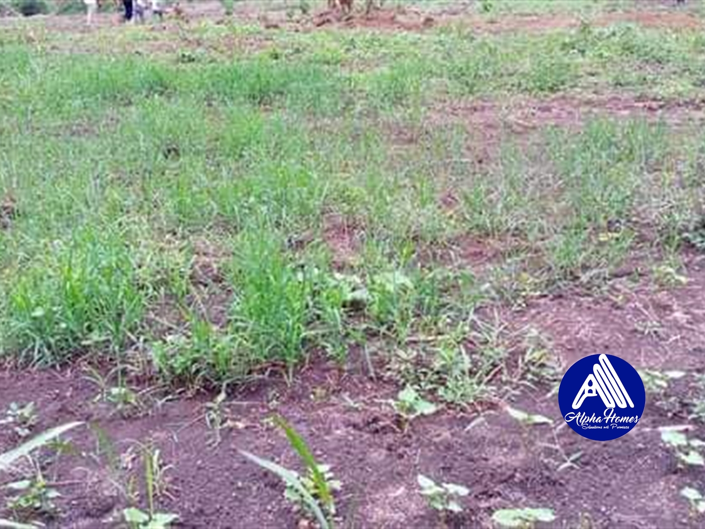 Residential Land for sale in Kira Wakiso