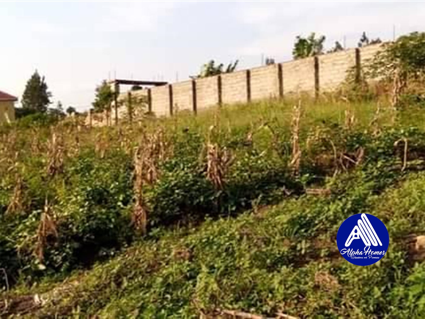 Residential Land for sale in Kira Wakiso