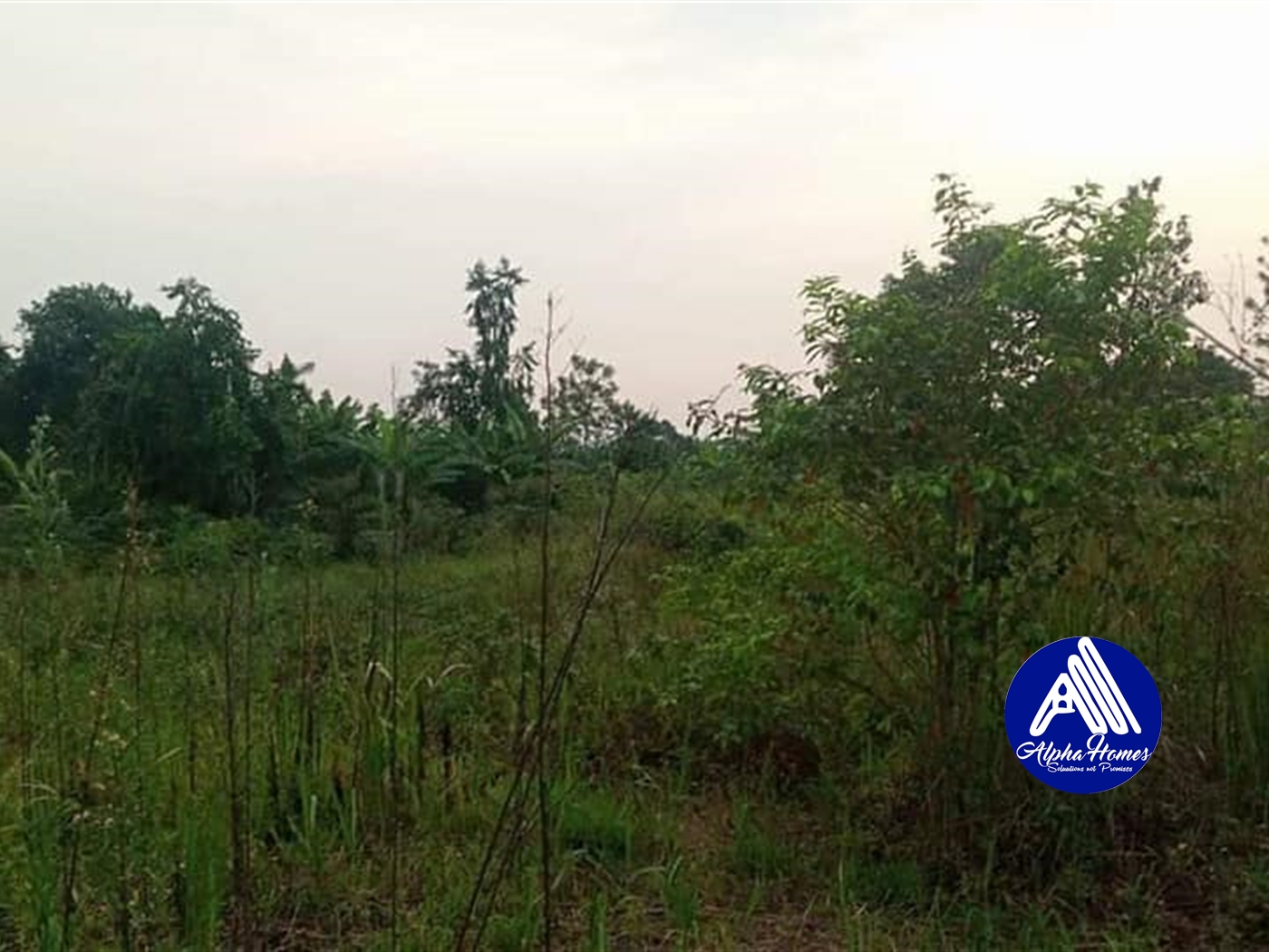 Residential Land for sale in Gayaza Wakiso