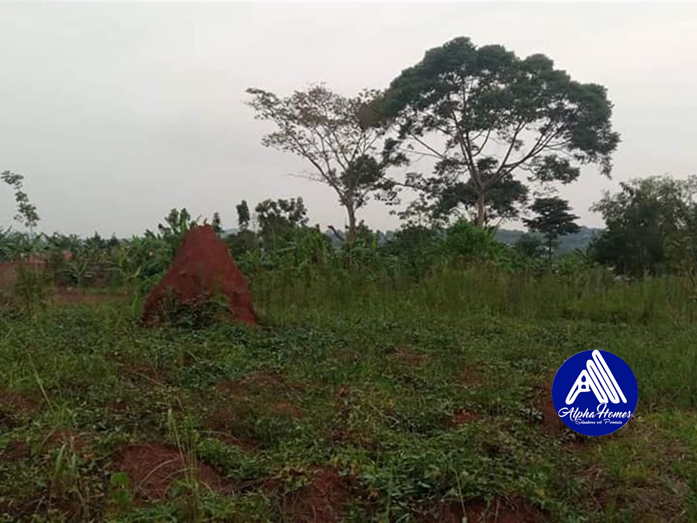 Residential Land for sale in Gayaza Wakiso