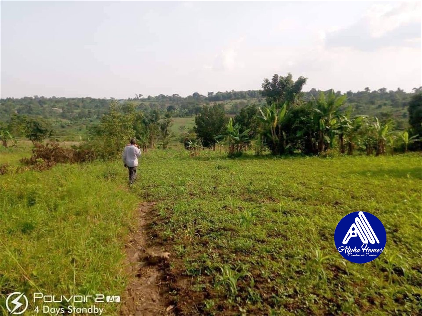 Agricultural Land for sale in Busukuma Wakiso