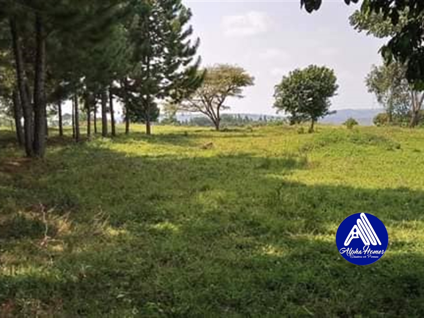 Agricultural Land for sale in Kiyindi Buyikwe