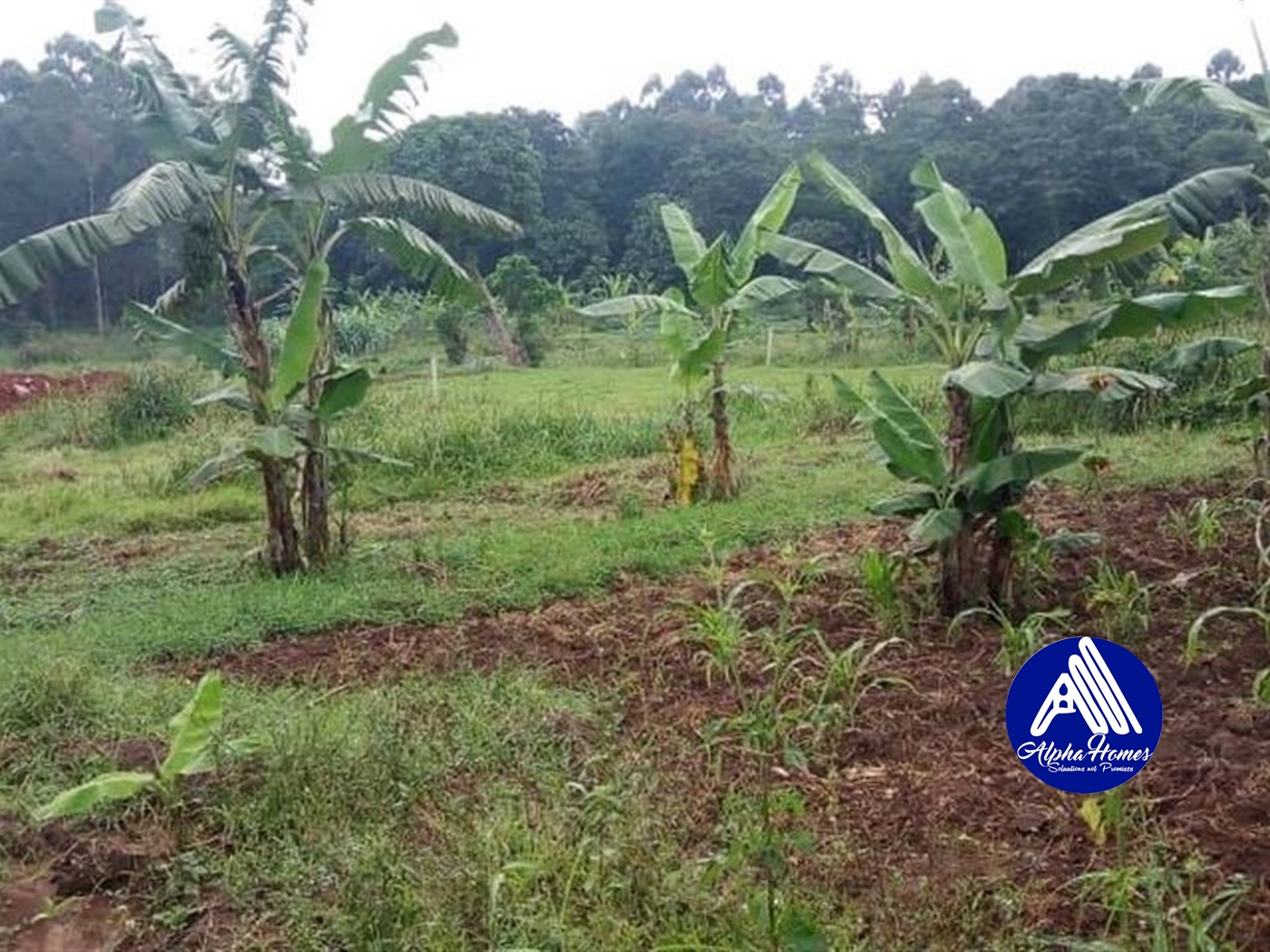 Residential Land for sale in Kyanja Kampala