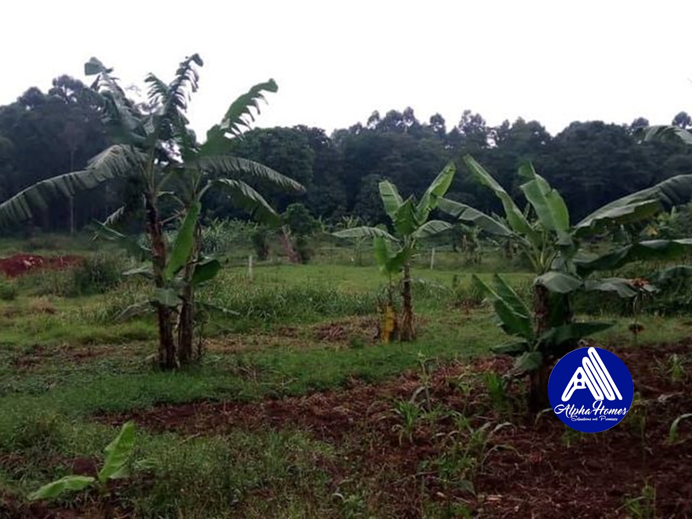 Residential Land for sale in Kyanja Kampala