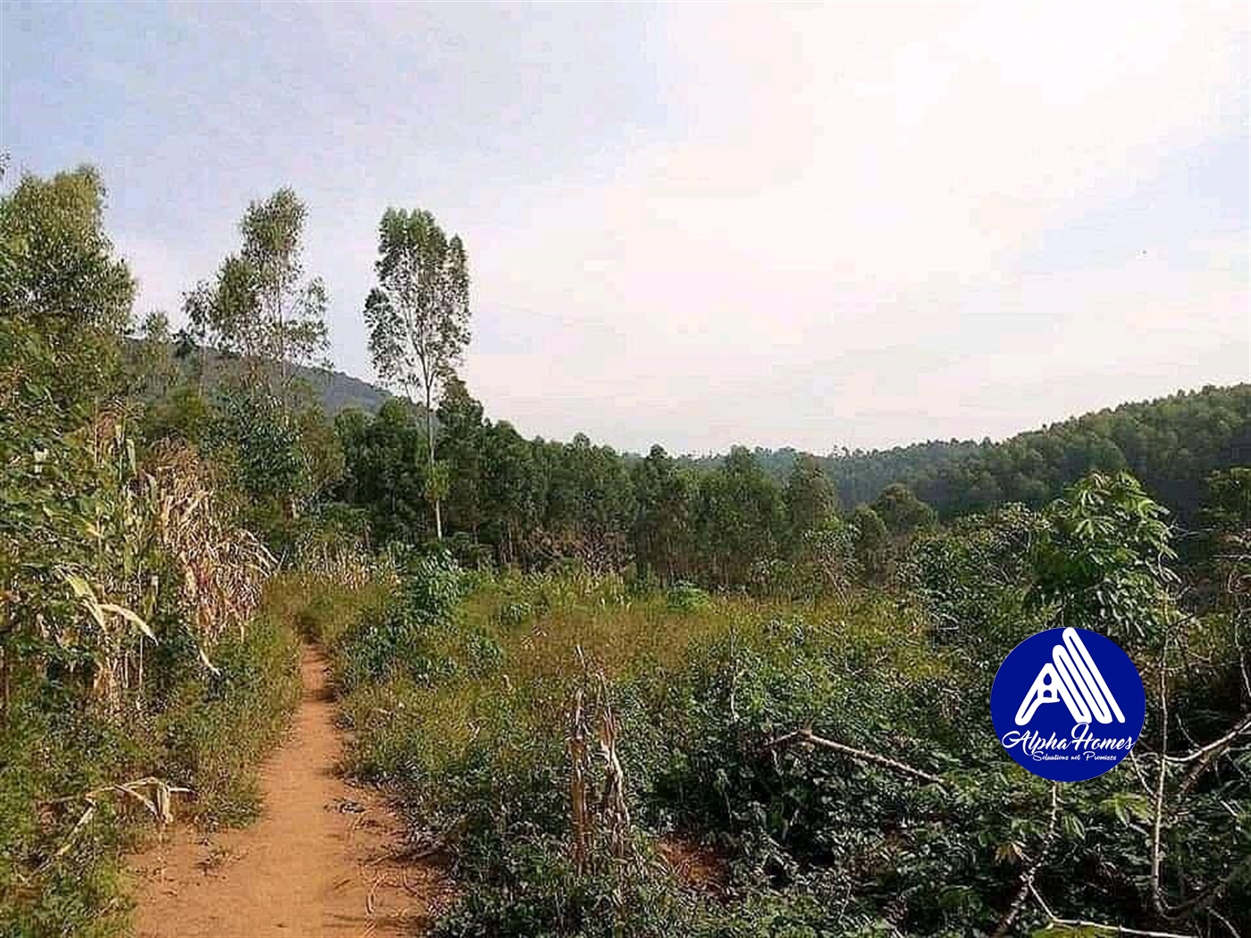 Agricultural Land for sale in Kakaba Kibaale