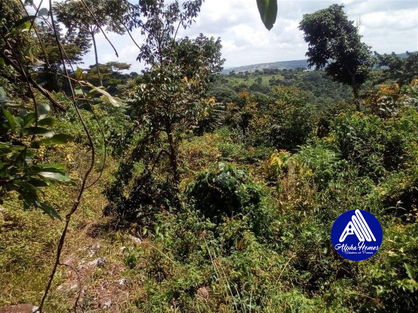 Agricultural Land for sale in Kyotela Masaka