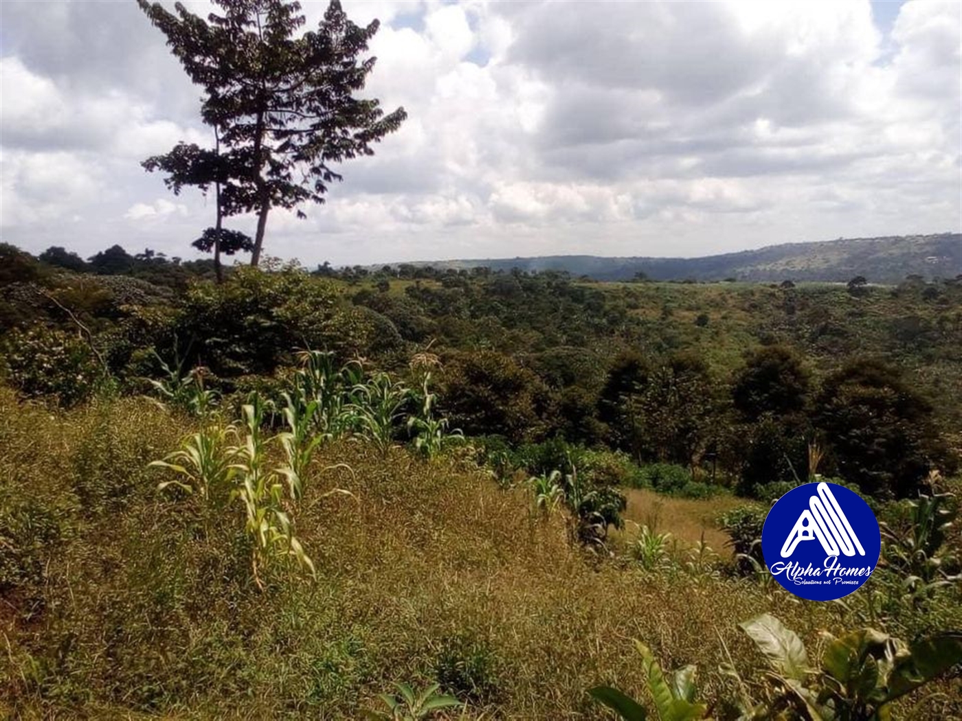 Agricultural Land for sale in Kyotela Masaka