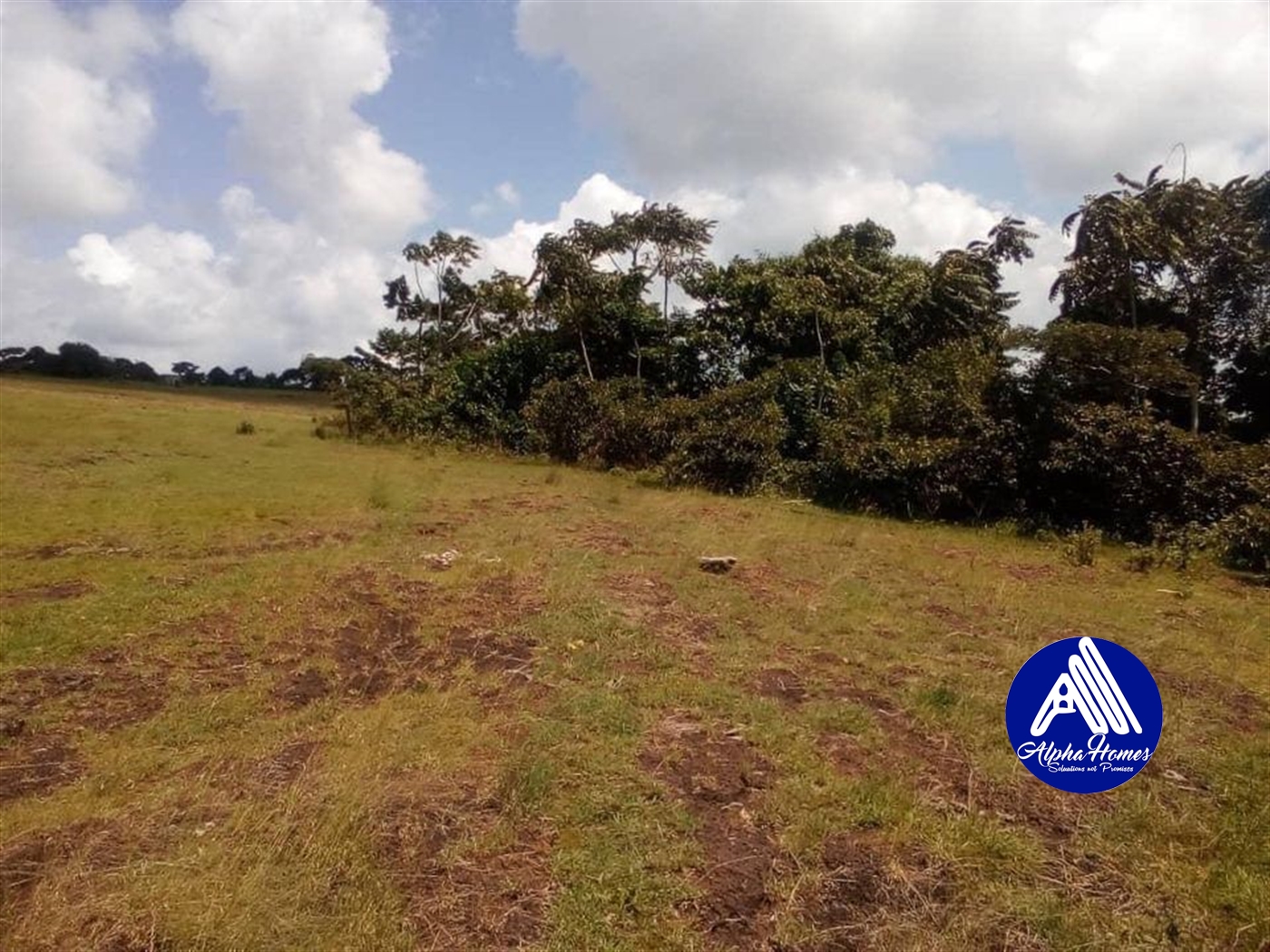 Agricultural Land for sale in Kyotela Masaka