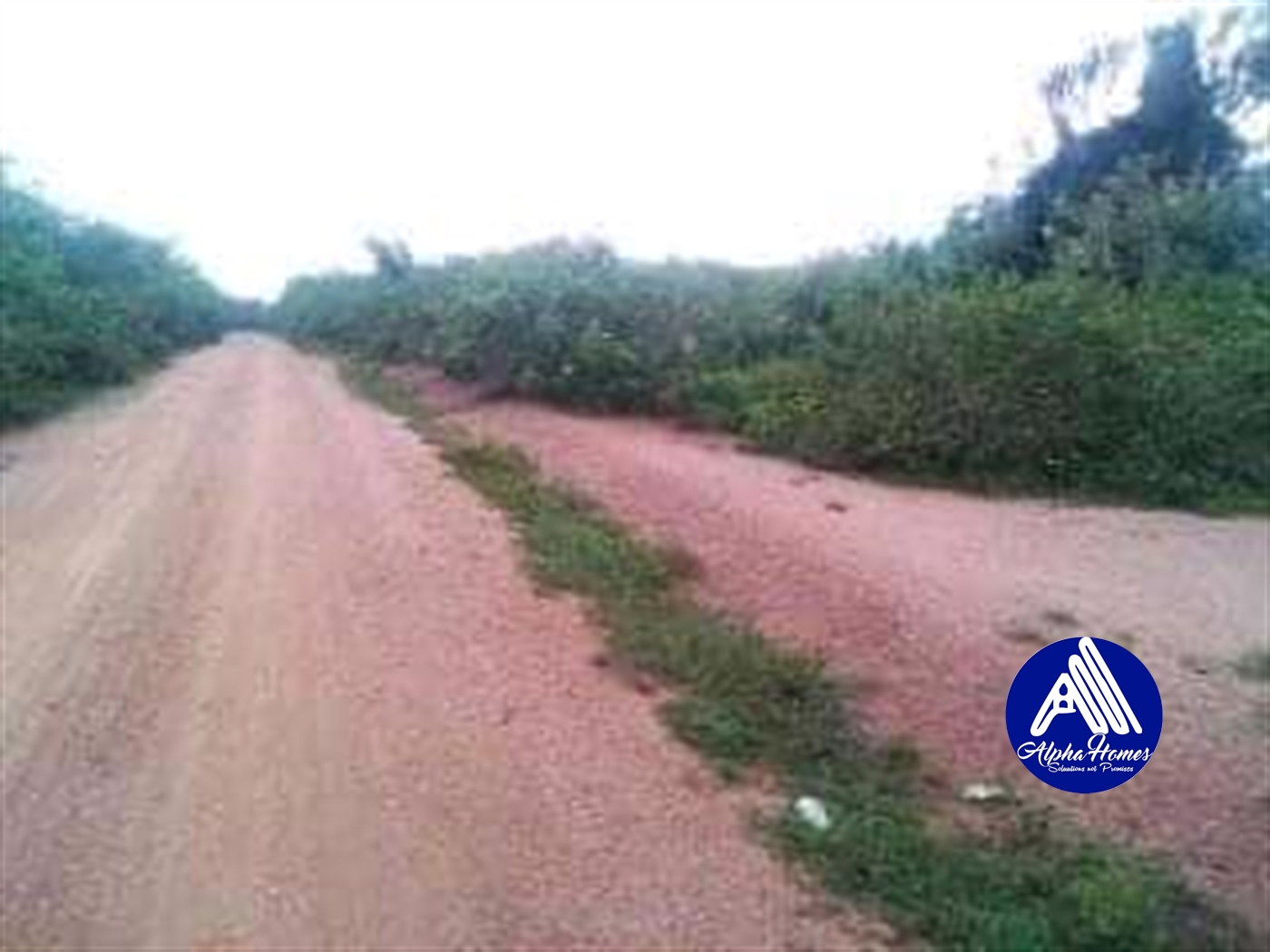 Agricultural Land for sale in Katuugo Luweero