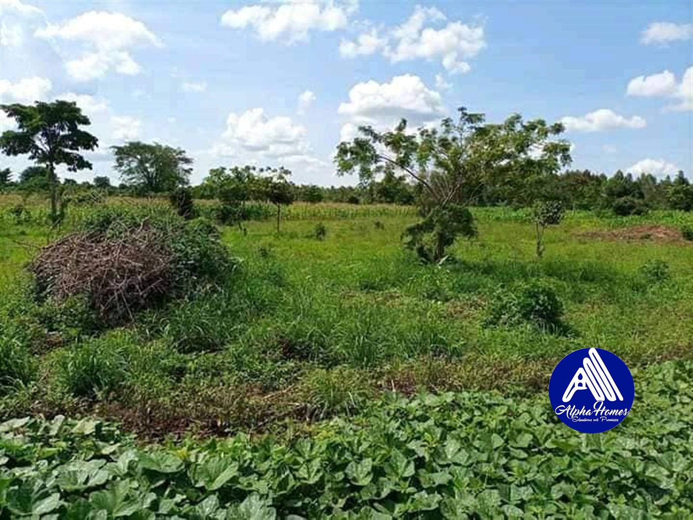 Agricultural Land for sale in Kikyuusa Luweero