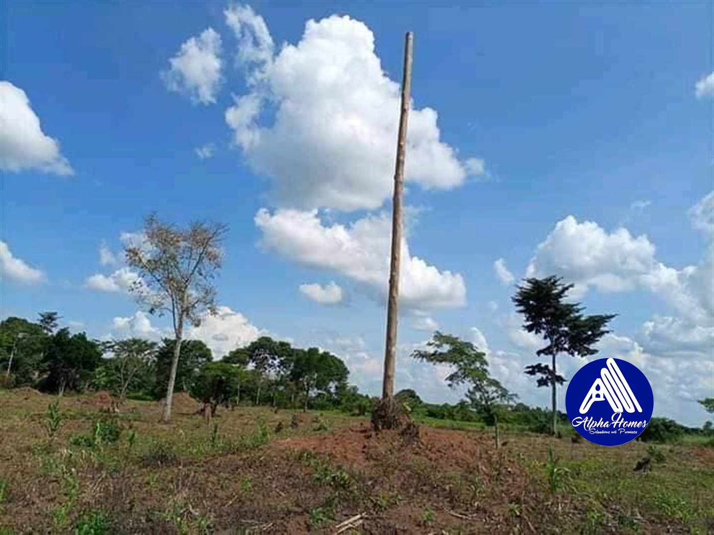 Agricultural Land for sale in Kikyuusa Luweero