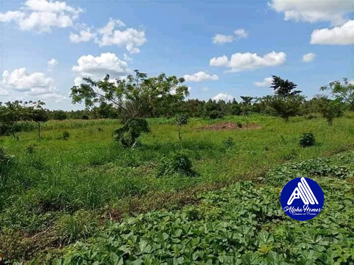 Agricultural Land for sale in Kikyuusa Luweero