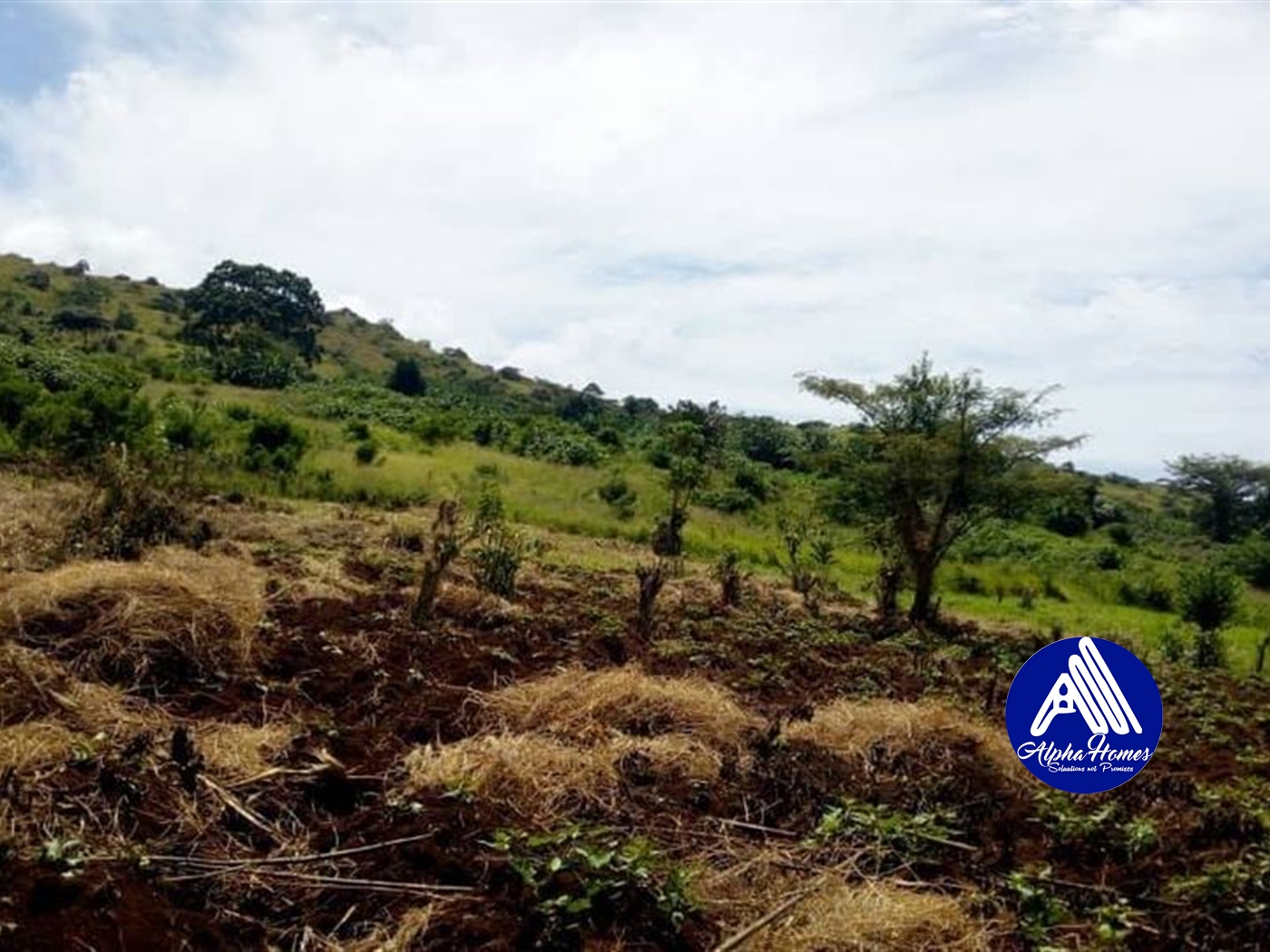 Agricultural Land for sale in Butale Mukono