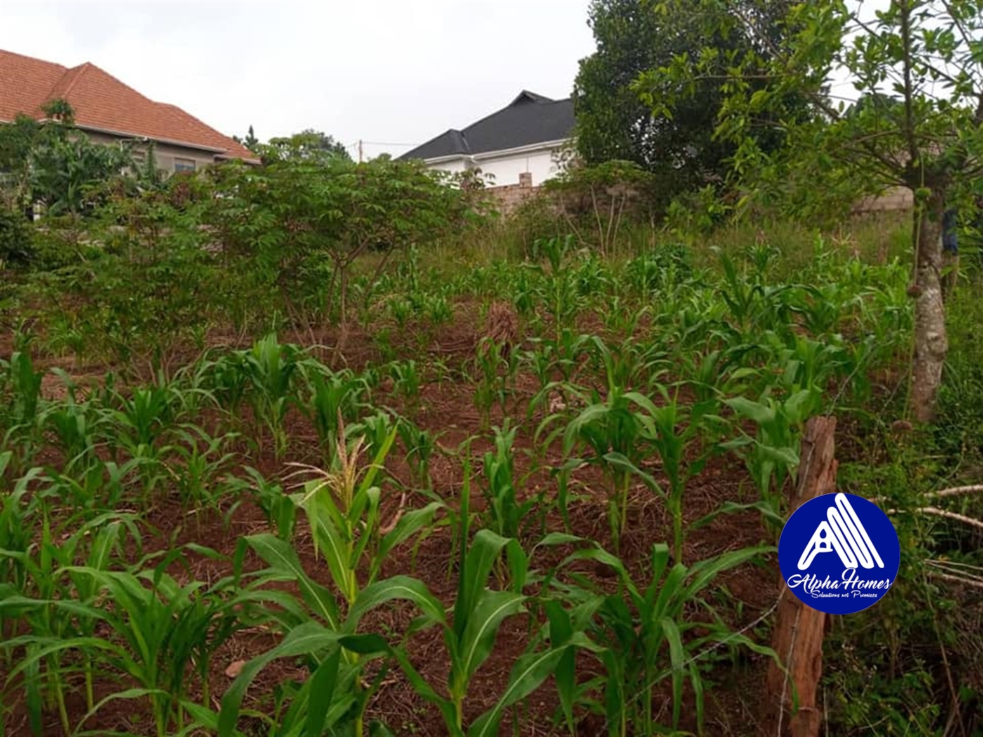 Residential Land for sale in Namugongo Wakiso